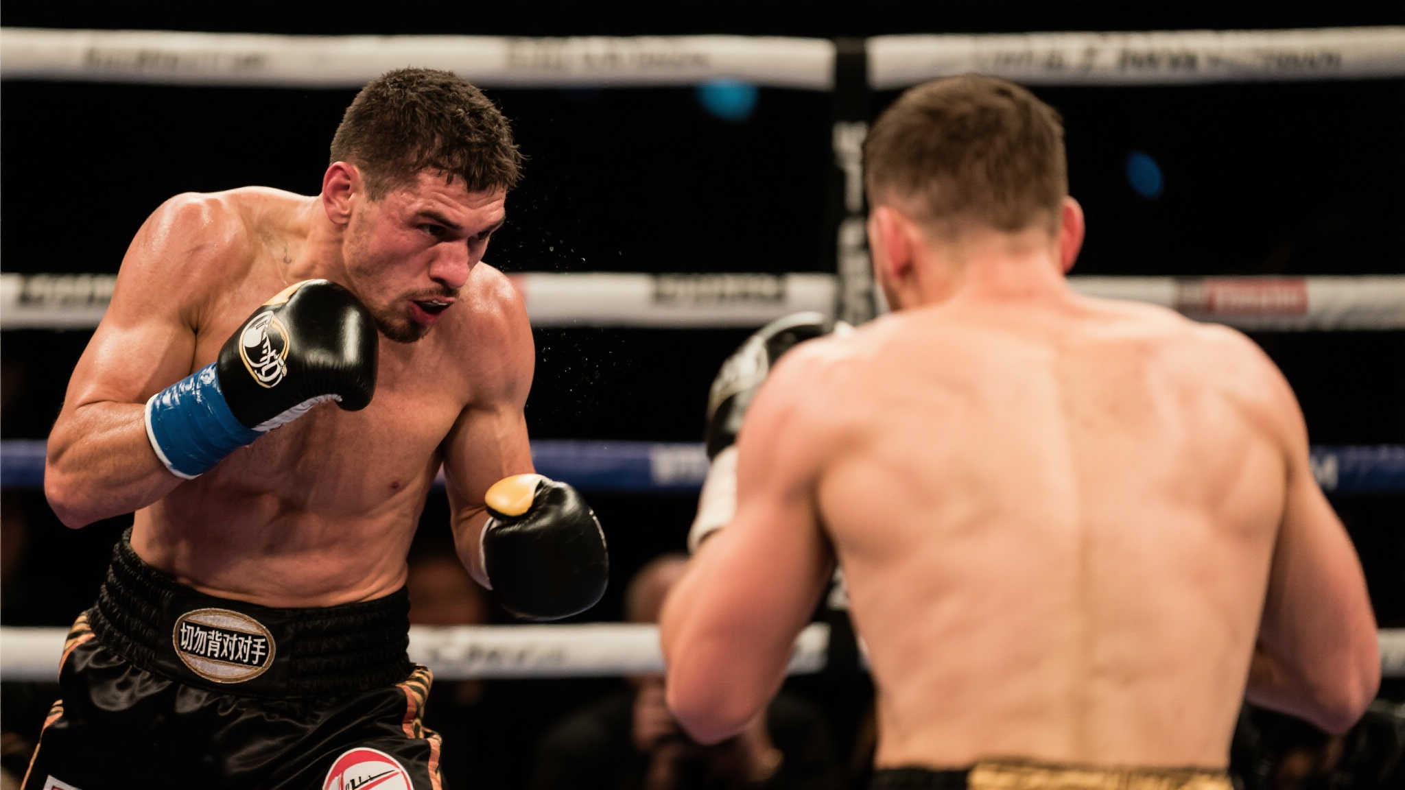 而无论是威 而无论是威