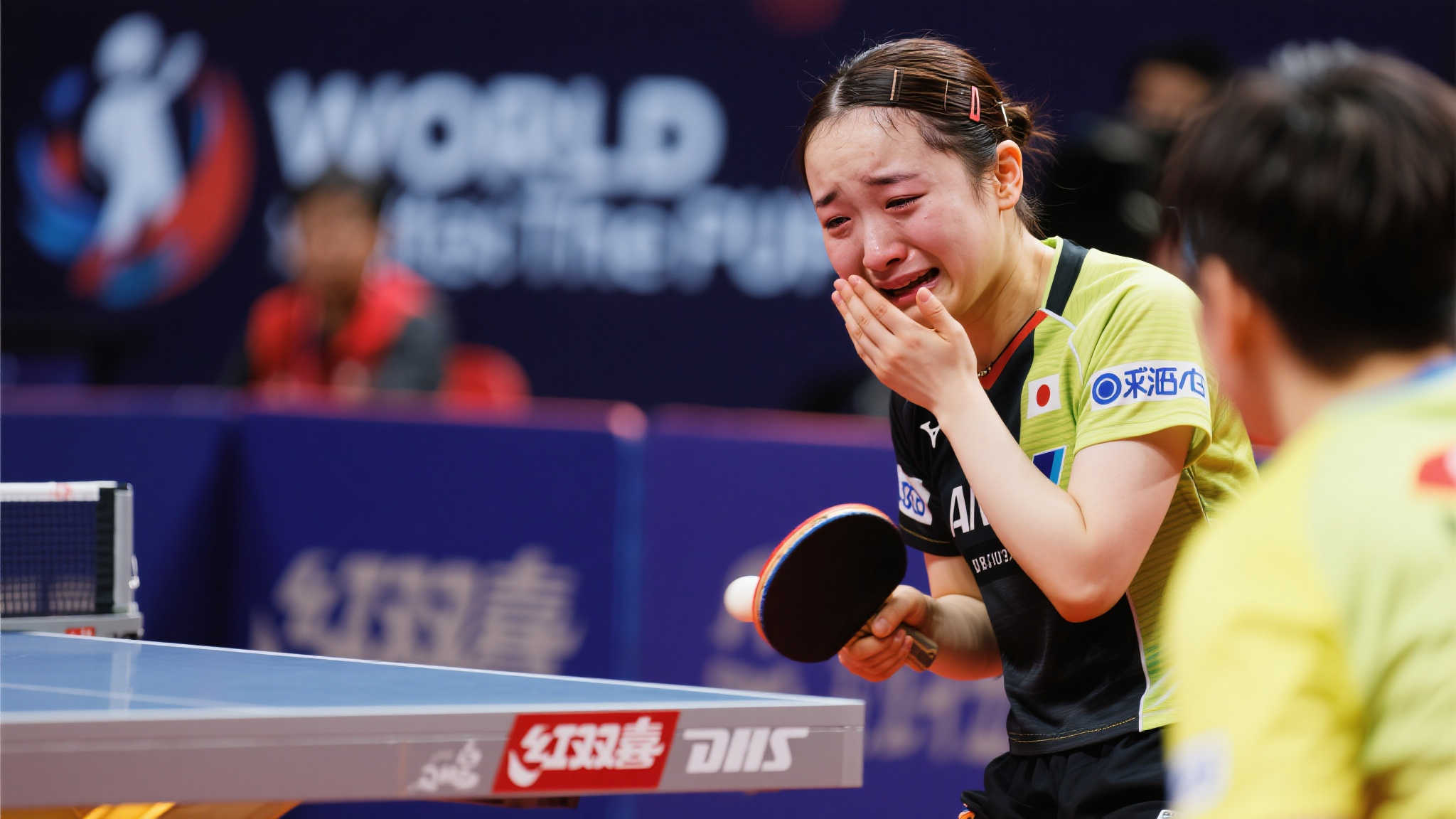 队不同的战 队不同的战